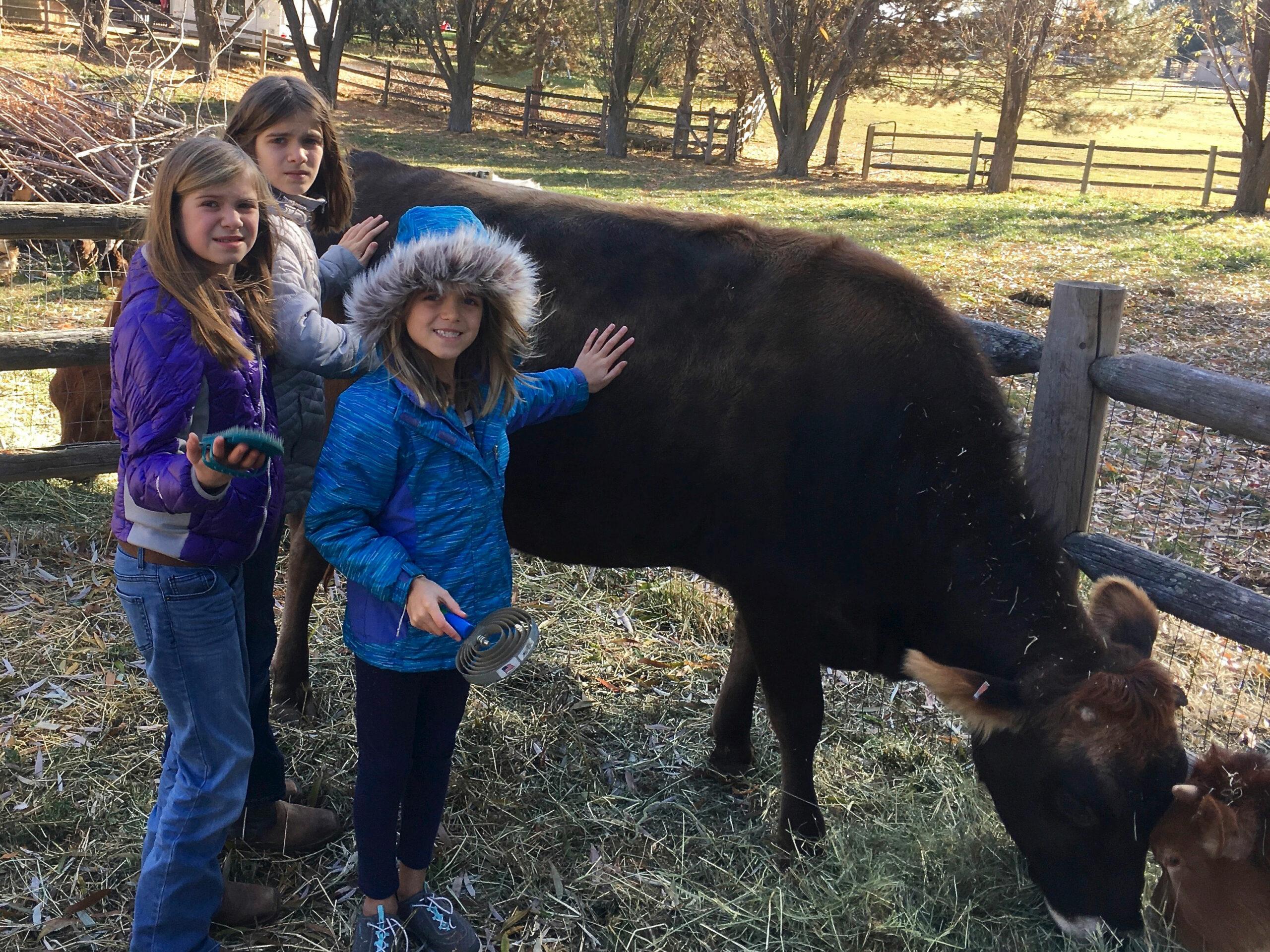 FamilyCow Sea to Farm Real Estate