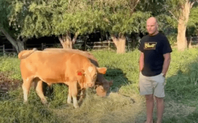 Grass-Fed Beef Raffle – Sept 30, 2022